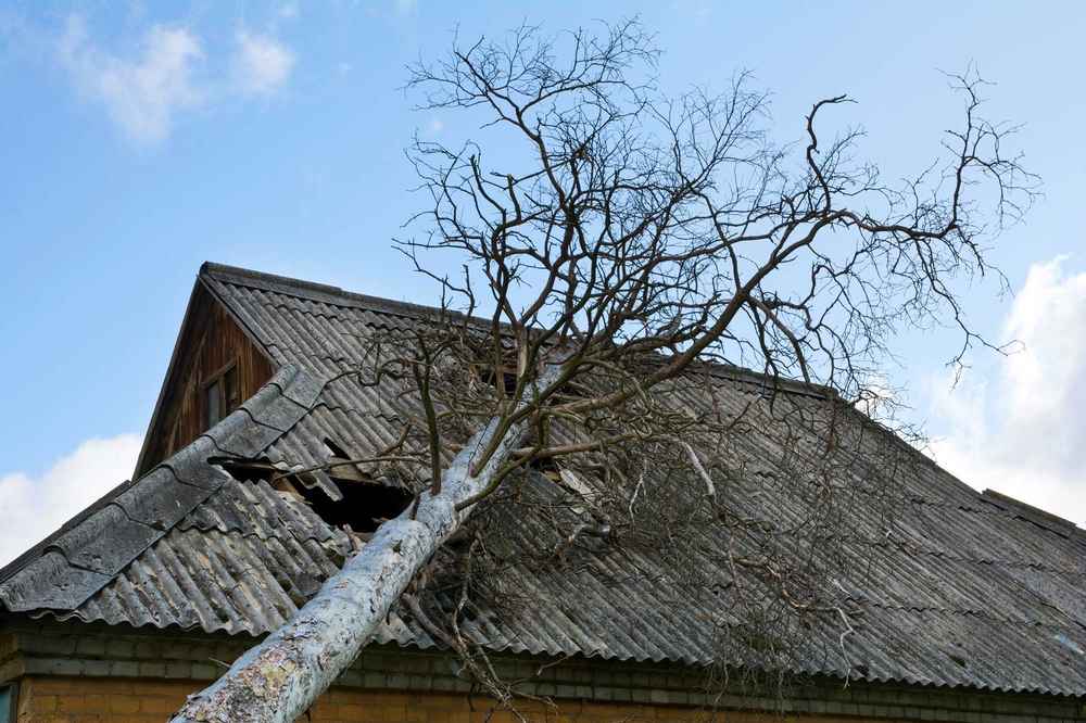 trusted storm damage repair expert in Montgomery TX