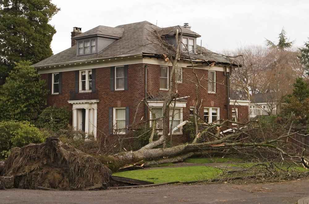 trusted storm damage repair expert in Kingwood TX